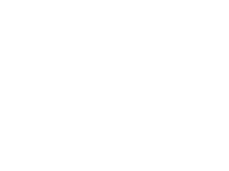 DIMAC Seguridad Privada