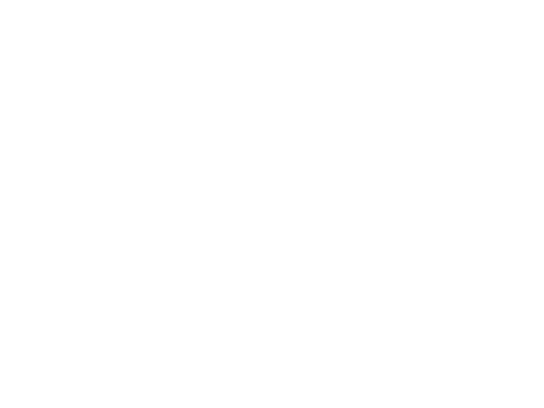 BELA